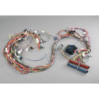 2002-2002 Camaro Ss,  Z28, 2002-2004 Corvette Base, 2004-2004 Pontiac Gto Base Painless Fuel Injection Wiring Harness (For Use With EMC/PMC PN[12200411]) (4L60E Or 6 Speed Transmissions w/Throttle By Wire)